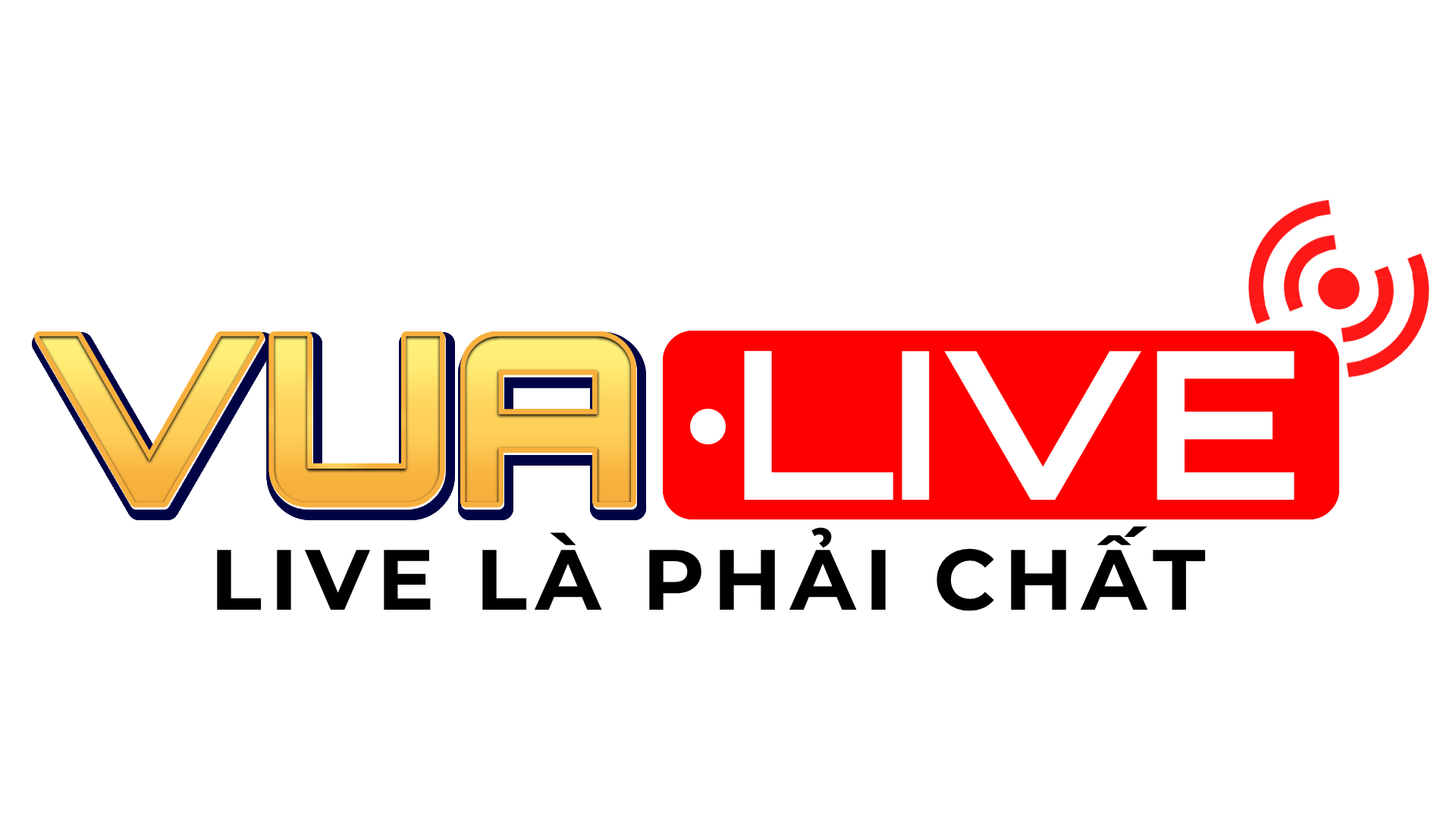 Logo Vualive1920x1080